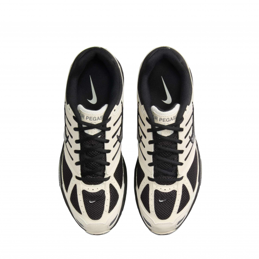 Air Pegasus 2005 Pale Ivory/Metallic Silver/Coconut Milk