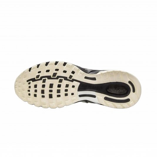Air Pegasus 2005 Pale Ivory/Metallic Silver/Coconut Milk