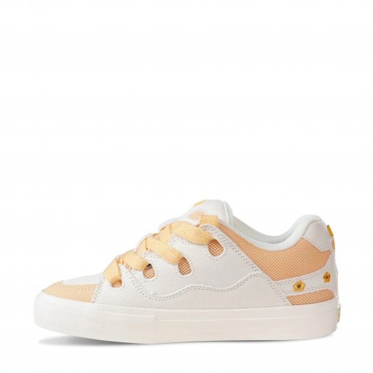 Bake Sunflowers Fragrant Coconut Milk Tea