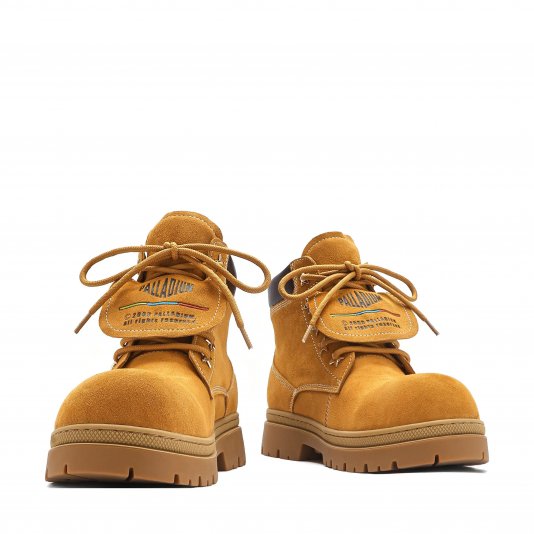 Guard Flap V2 Star Brownish Yellow