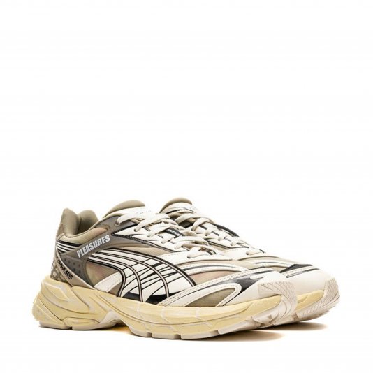 Velophasis Always On Birch Tree/Anise Flower