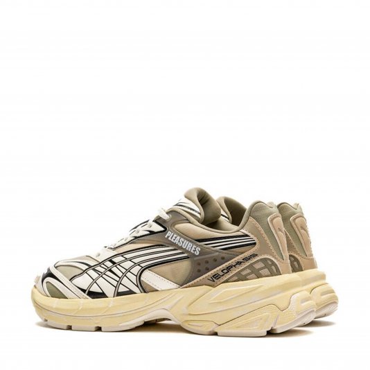 Velophasis Always On Birch Tree/Anise Flower