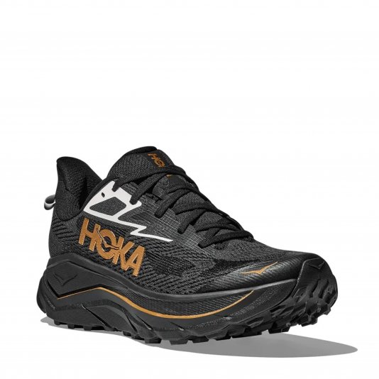 Challenger ATR 8 Black/Gold