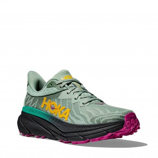 Challenger ATR 7 Aloe Vera/Black