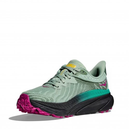 Challenger ATR 7 Aloe Vera/Black