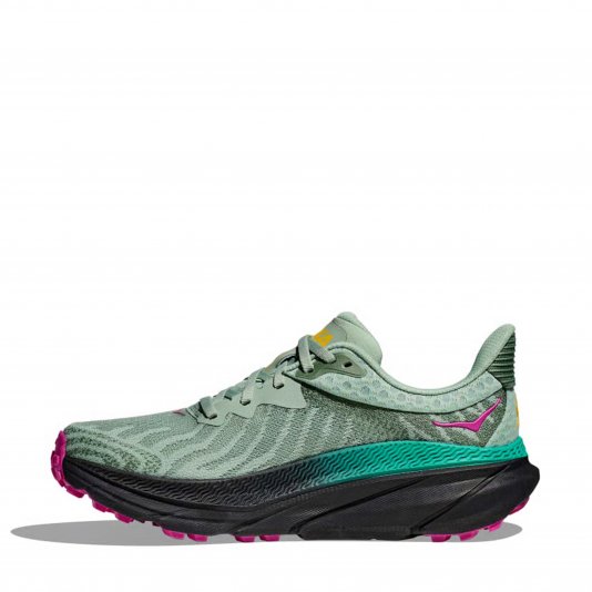 Challenger ATR 7 Aloe Vera/Black