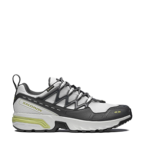 ACS + GTX Gray Violet/Alloy/Lemon