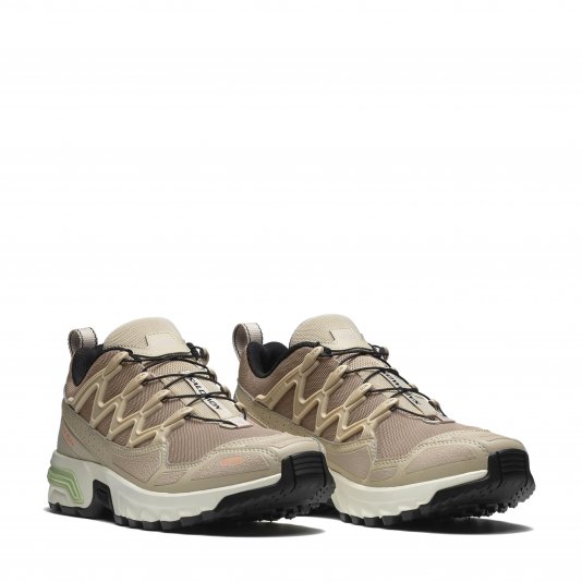 ACS + Natural/Cement/Fresh Salmon