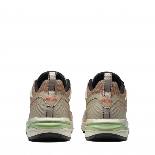 ACS + Natural/Cement/Fresh Salmon