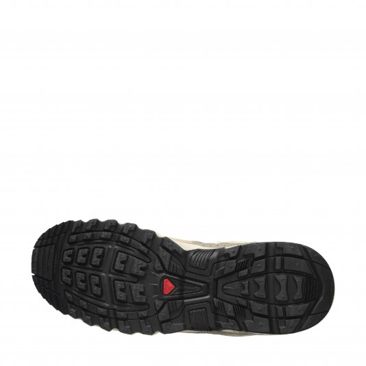 ACS + OG Falcon/Shortbread/Hazelnut