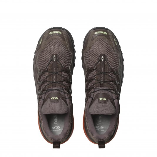 ACS + OG Iron/Bracken/Autumn