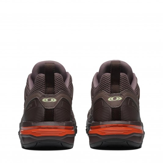 ACS + OG Iron/Bracken/Autumn