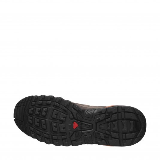 ACS + OG Iron/Bracken/Autumn