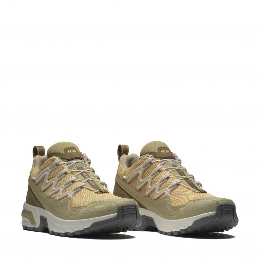 ACS + Rattan/Gray Green/Coyote Brown