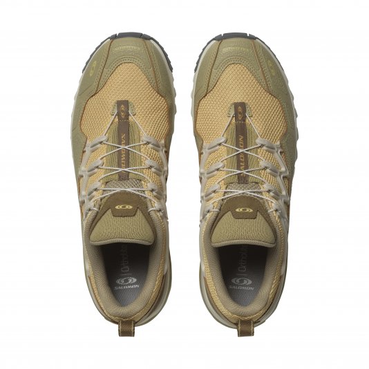 ACS + Rattan/Gray Green/Coyote Brown