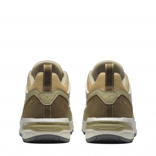 ACS + Rattan/Gray Green/Coyote Brown