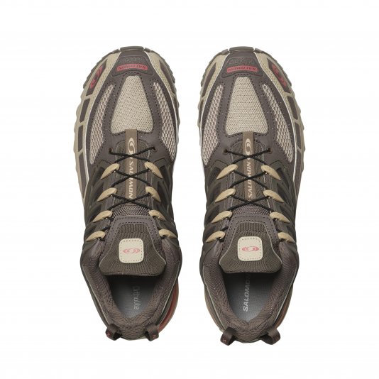ACS Pro Falcon/Sugar Coral/Cement