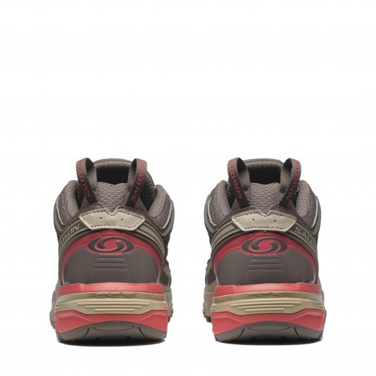 ACS Pro Falcon/Sugar Coral/Cement