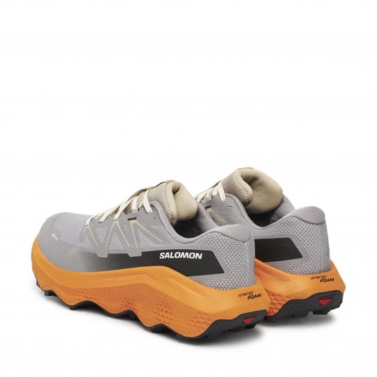 Ultra Flow 2 GTX Gull/Turmeric/White Pepper