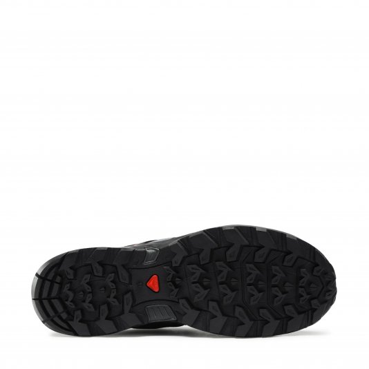 Ultra Pioneer GTX Magnet/Black/Tea Rose