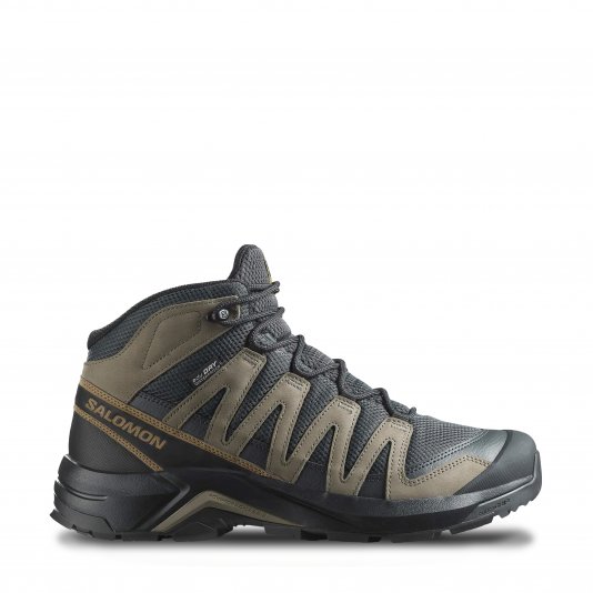 X-Adventure Recon MID GTX Asphalt/Falcon/Coyote Brown