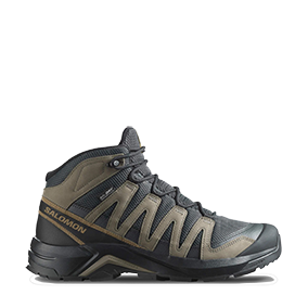 X-Adventure Recon MID GTX Asphalt/Falcon/Coyote Brown