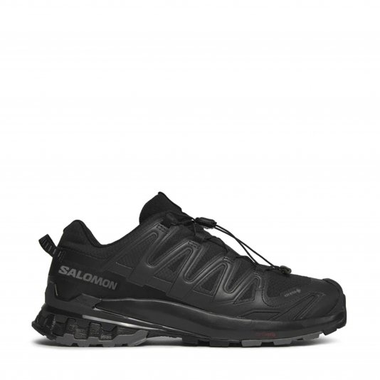 XA Pro 3D V9 GORE-TEX Black/Phantom/Pewter
