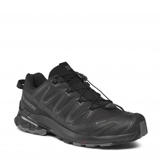 XA Pro 3D V9 GORE-TEX Black/Phantom/Pewter