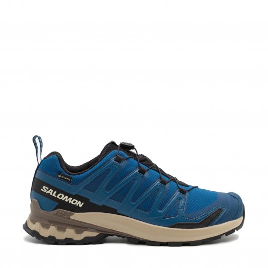 XA Pro 3D V9 GORE-TEX Blue/Black