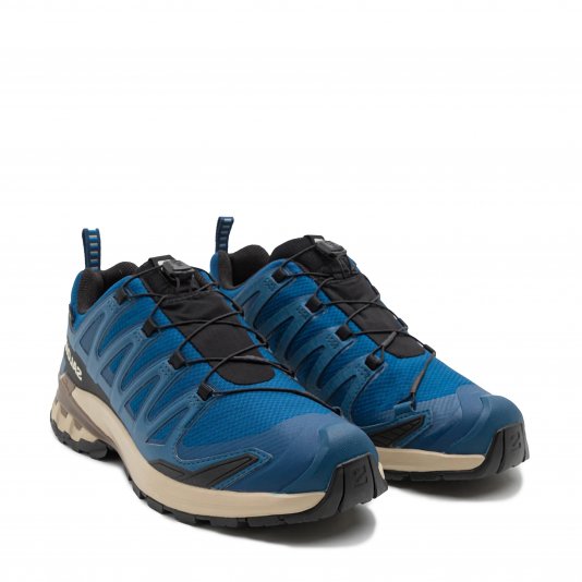 XA Pro 3D V9 GORE-TEX Blue/Black