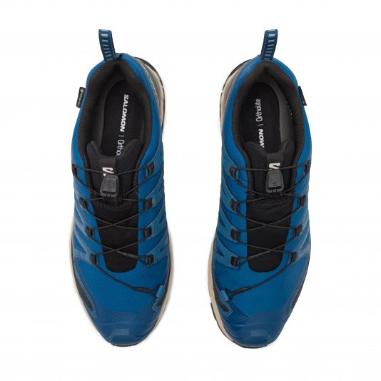 XA Pro 3D V9 GORE-TEX Blue/Black