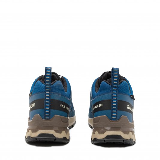 XA Pro 3D V9 GORE-TEX Blue/Black