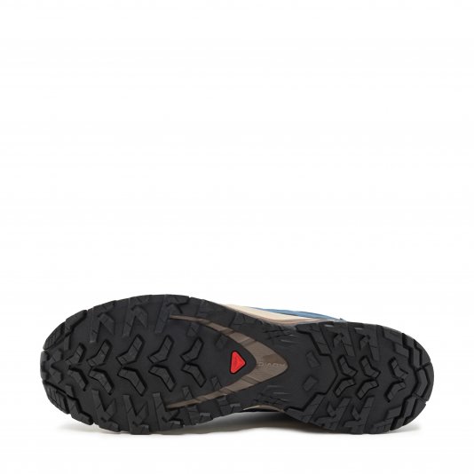 XA Pro 3D V9 GORE-TEX Blue/Black