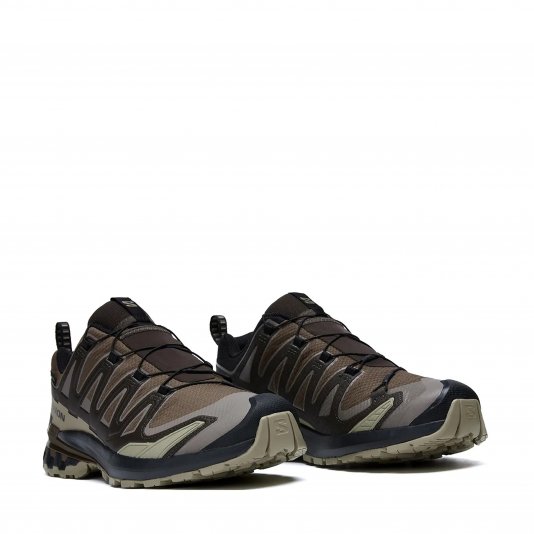 XA Pro 3D V9 GORE-TEX Dark Earth/Desert Tan/Black