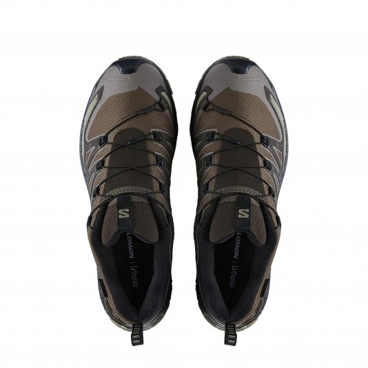 XA Pro 3D V9 GORE-TEX Dark Earth/Desert Tan/Black