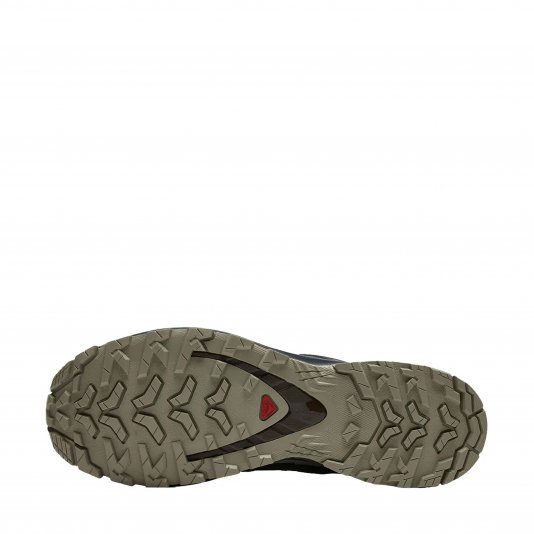 XA Pro 3D V9 GORE-TEX Dark Earth/Desert Tan/Black