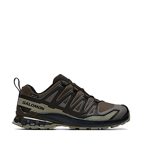 XA Pro 3D V9 GORE-TEX Dark Earth/Desert Tan/Black