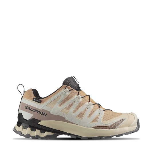 XA Pro 3D V9 GORE-TEX Hazelnut/Tender Peach/Black
