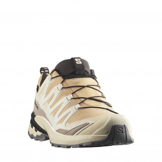 XA Pro 3D V9 GORE-TEX Hazelnut/Tender Peach/Black