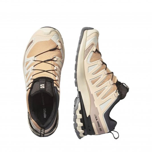 XA Pro 3D V9 GORE-TEX Hazelnut/Tender Peach/Black