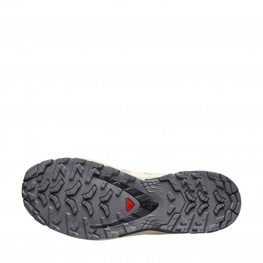 XA Pro 3D V9 GORE-TEX Hazelnut/Tender Peach/Black