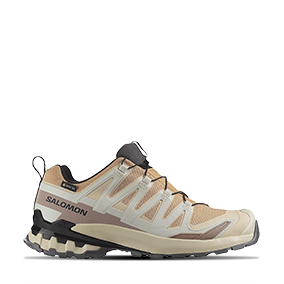 XA Pro 3D V9 GORE-TEX Hazelnut/Tender Peach/Black