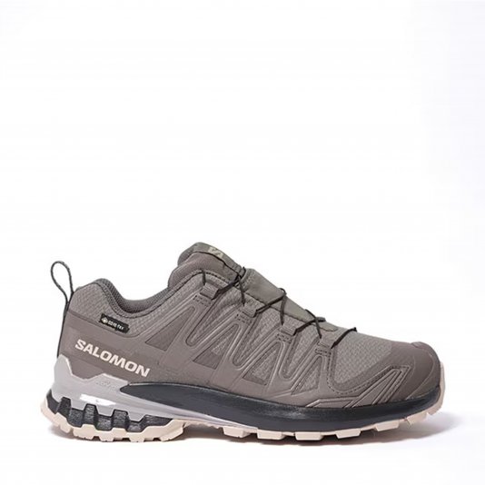 XA Pro 3D V9 GORE-TEX Plum Kitten/Black/Gull