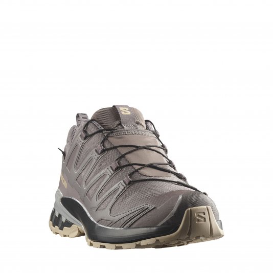XA Pro 3D V9 GORE-TEX Plum Kitten/Black/Gull