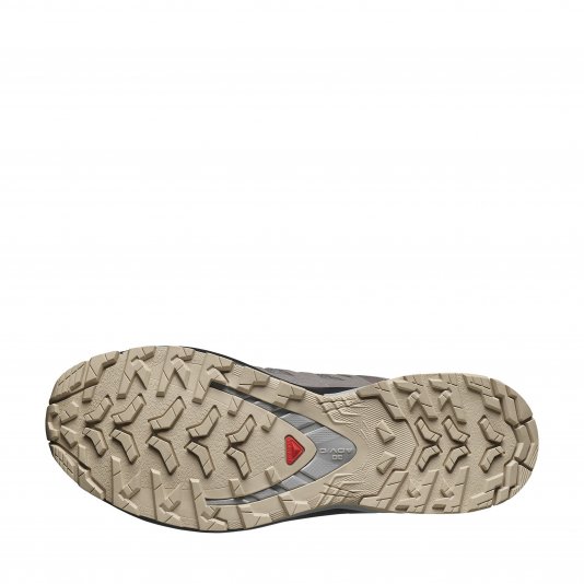 XA Pro 3D V9 GORE-TEX Plum Kitten/Black/Gull