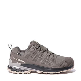 XA Pro 3D V9 GORE-TEX Plum Kitten/Black/Gull