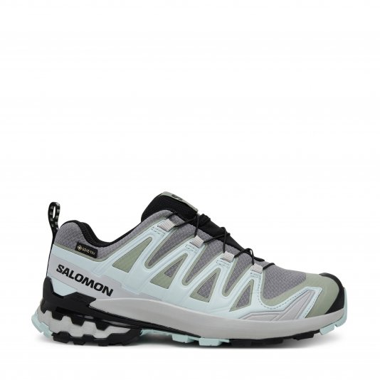 XA Pro 3D V9 GORE-TEX Quiet Shade/Lily Pad/Blue Haze
