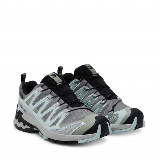 XA Pro 3D V9 GORE-TEX Quiet Shade/Lily Pad/Blue Haze