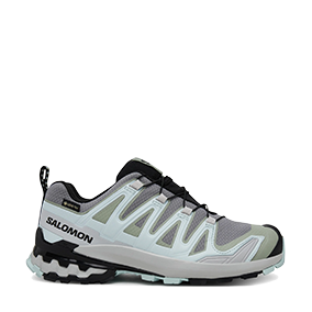 XA Pro 3D V9 GORE-TEX Quiet Shade/Lily Pad/Blue Haze