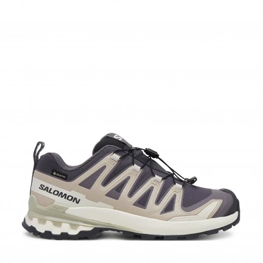 XA Pro 3D V9 GORE-TEX Nine Iron/Oxford Tan/Alfalfa